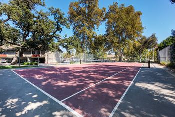 Tennis court